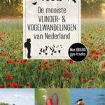 De mooiste vlinder- & vogelwandelingen van Nederland